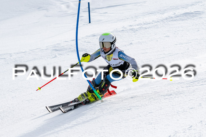 DSV - Actanol Deutscher Schülercup U12 Finale SLX 2026