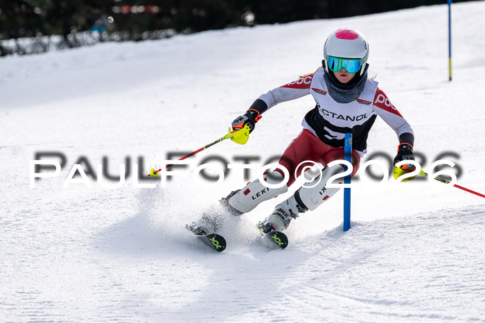 DSV - Actanol Deutscher Schülercup U12 Finale SLX 2026