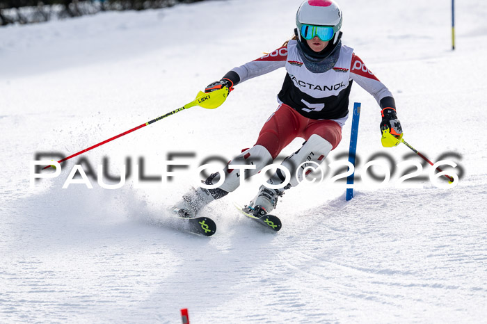 DSV - Actanol Deutscher Schülercup U12 Finale SLX 2026
