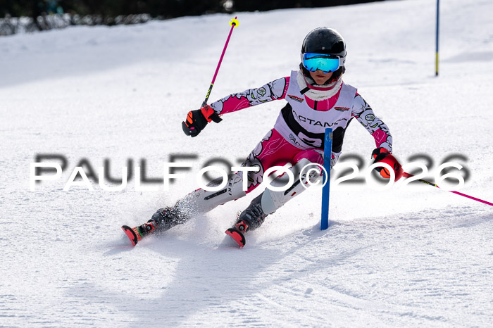 DSV - Actanol Deutscher Schülercup U12 Finale SLX 2026