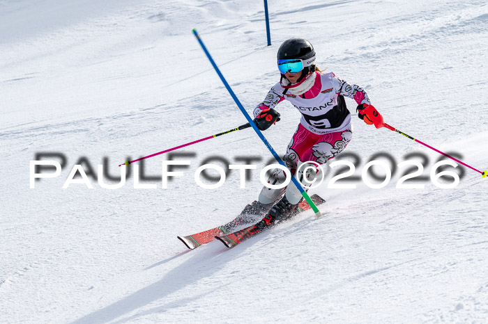 DSV - Actanol Deutscher Schülercup U12 Finale SLX 2026