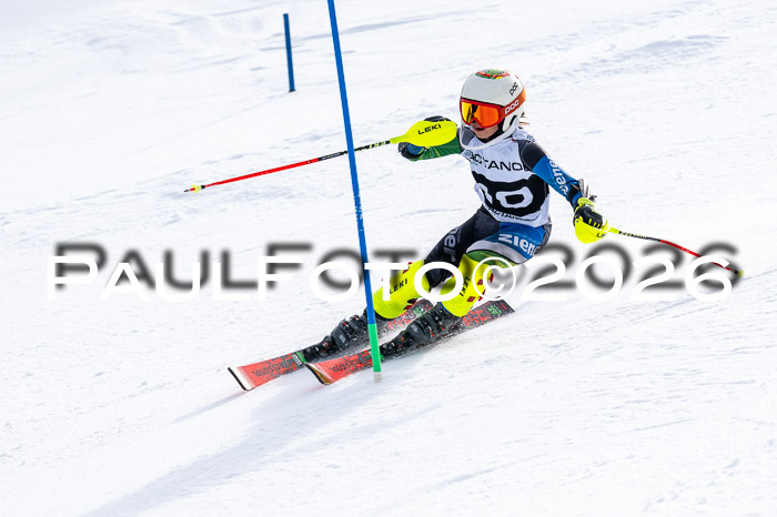 DSV - Actanol Deutscher Schülercup U12 Finale SLX 2026