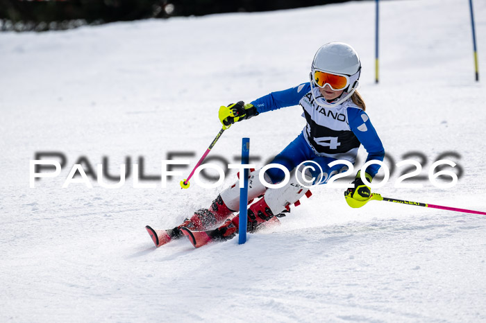DSV - Actanol Deutscher Schülercup U12 Finale SLX 2026