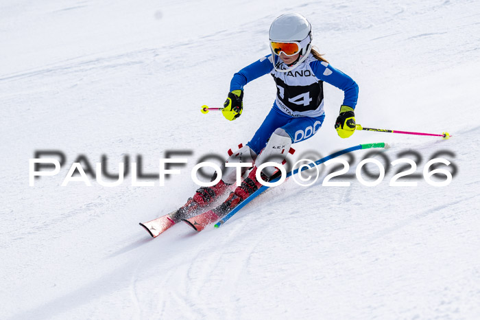 DSV - Actanol Deutscher Schülercup U12 Finale SLX 2026