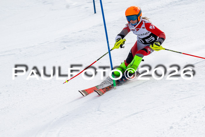 DSV - Actanol Deutscher Schülercup U12 Finale SLX 2026