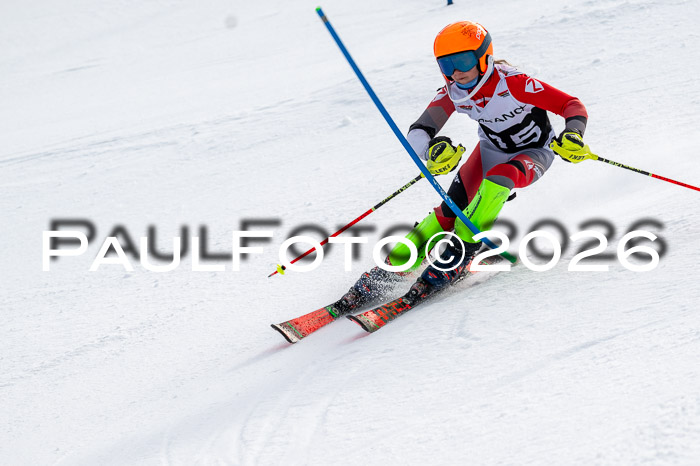 DSV - Actanol Deutscher Schülercup U12 Finale SLX 2026