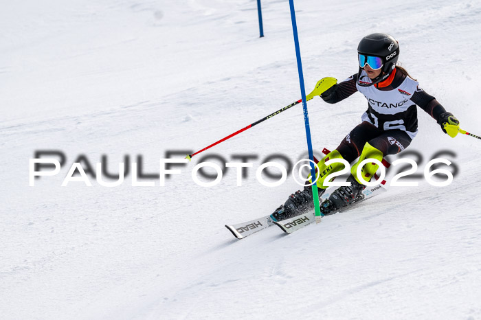 DSV - Actanol Deutscher Schülercup U12 Finale SLX 2026