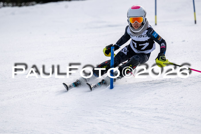 DSV - Actanol Deutscher Schülercup U12 Finale SLX 2026