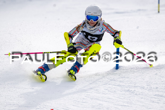 DSV - Actanol Deutscher Schülercup U12 Finale SLX 2026