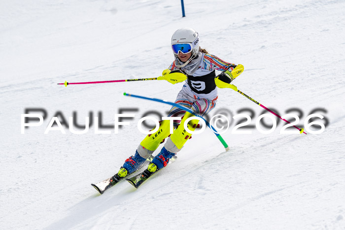 DSV - Actanol Deutscher Schülercup U12 Finale SLX 2026