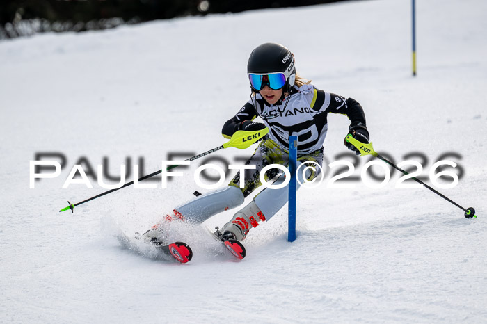 DSV - Actanol Deutscher Schülercup U12 Finale SLX 2026