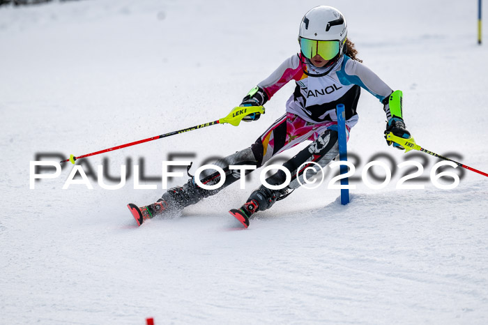DSV - Actanol Deutscher Schülercup U12 Finale SLX 2026