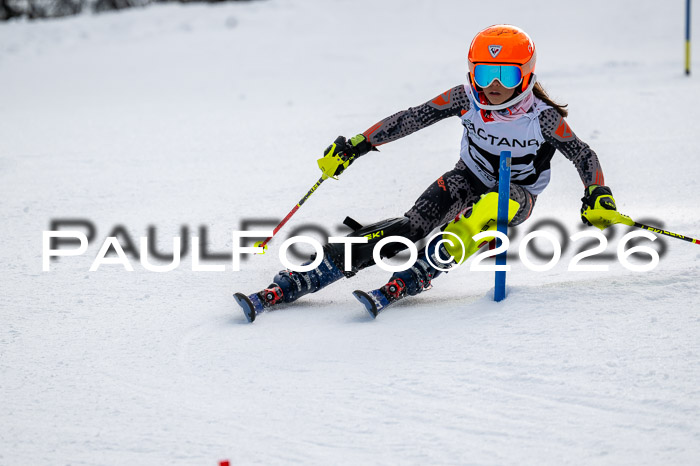 DSV - Actanol Deutscher Schülercup U12 Finale SLX 2026