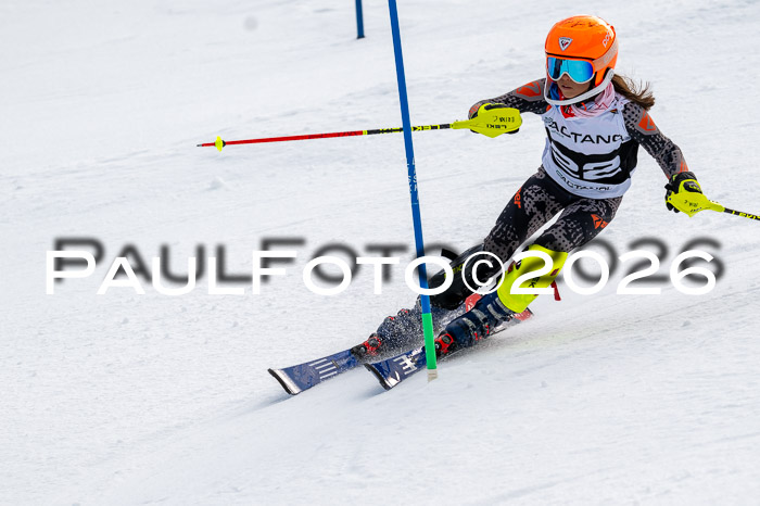 DSV - Actanol Deutscher Schülercup U12 Finale SLX 2026