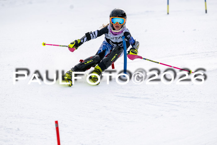 DSV - Actanol Deutscher Schülercup U12 Finale SLX 2026