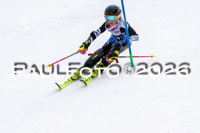 DSV - Actanol Deutscher Schülercup U12 Finale SLX 2026