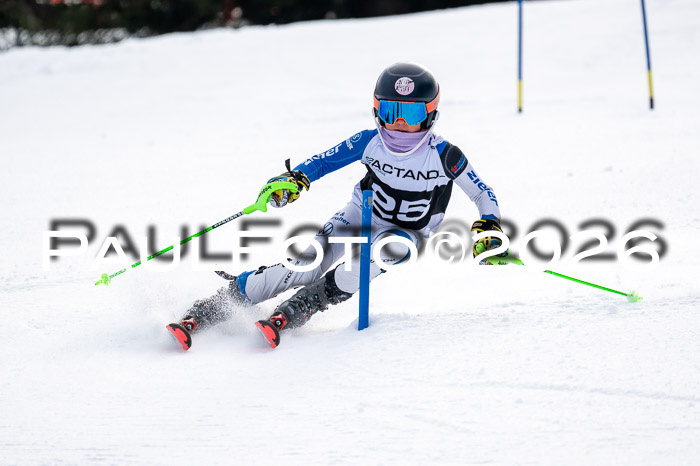 DSV - Actanol Deutscher Schülercup U12 Finale SLX 2026