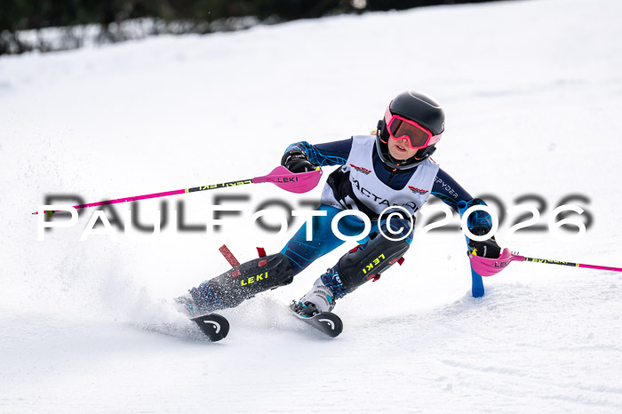 DSV - Actanol Deutscher Schülercup U12 Finale SLX 2026