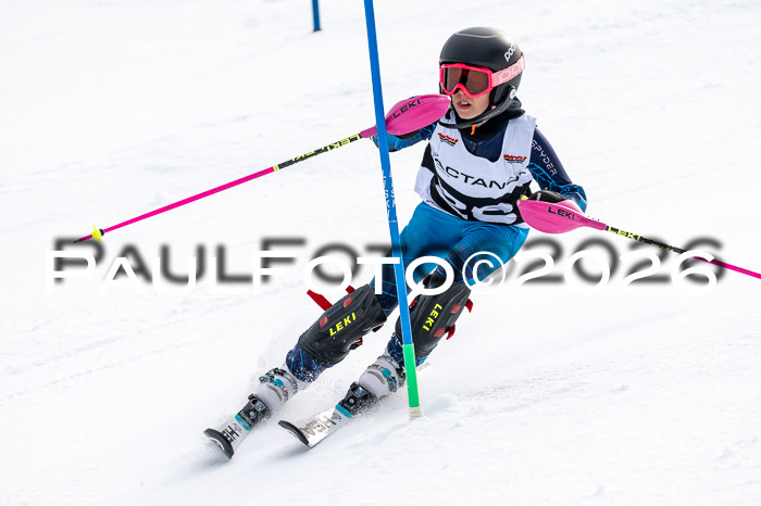 DSV - Actanol Deutscher Schülercup U12 Finale SLX 2026