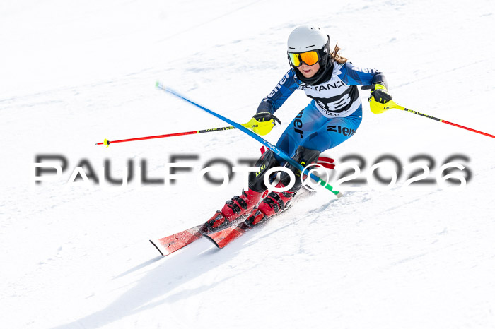 DSV - Actanol Deutscher Schülercup U12 Finale SLX 2026