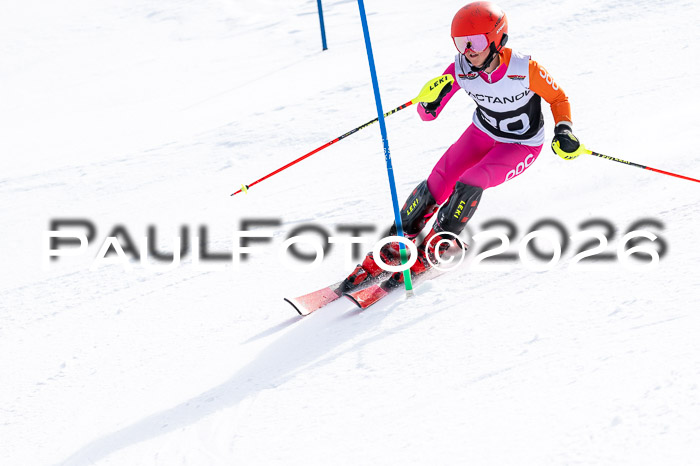 DSV - Actanol Deutscher Schülercup U12 Finale SLX 2026