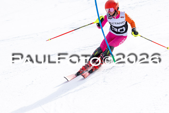 DSV - Actanol Deutscher Schülercup U12 Finale SLX 2026