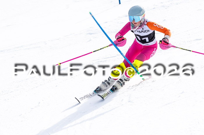 DSV - Actanol Deutscher Schülercup U12 Finale SLX 2026