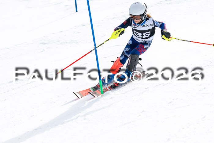 DSV - Actanol Deutscher Schülercup U12 Finale SLX 2026