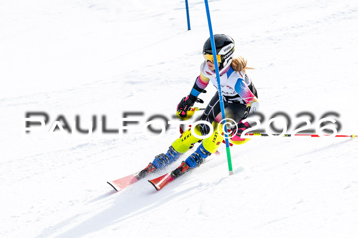 DSV - Actanol Deutscher Schülercup U12 Finale SLX 2026