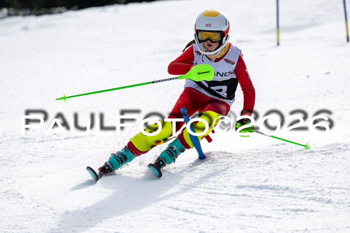DSV - Actanol Deutscher Schülercup U12 Finale SLX 2026