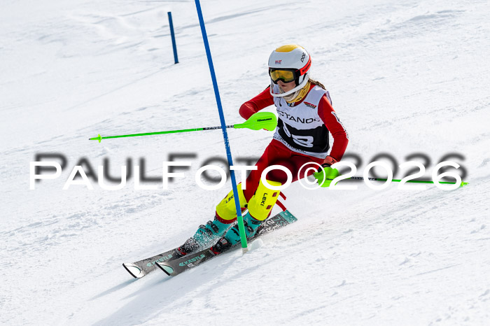 DSV - Actanol Deutscher Schülercup U12 Finale SLX 2026