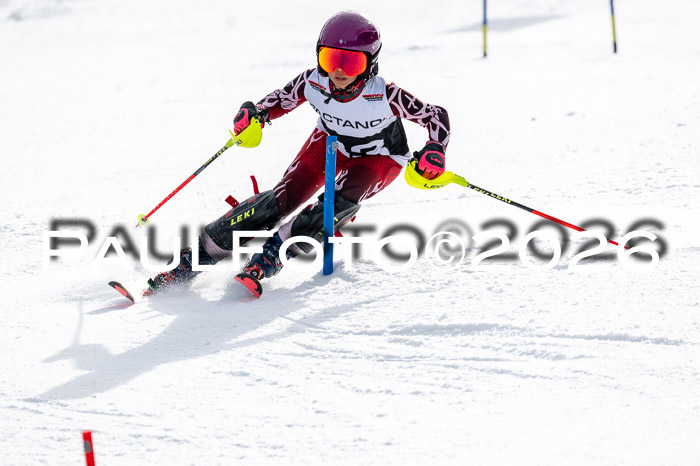 DSV - Actanol Deutscher Schülercup U12 Finale SLX 2026
