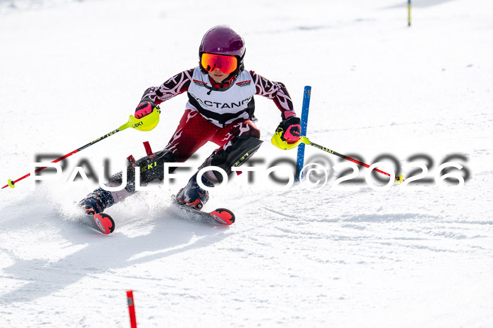 DSV - Actanol Deutscher Schülercup U12 Finale SLX 2026