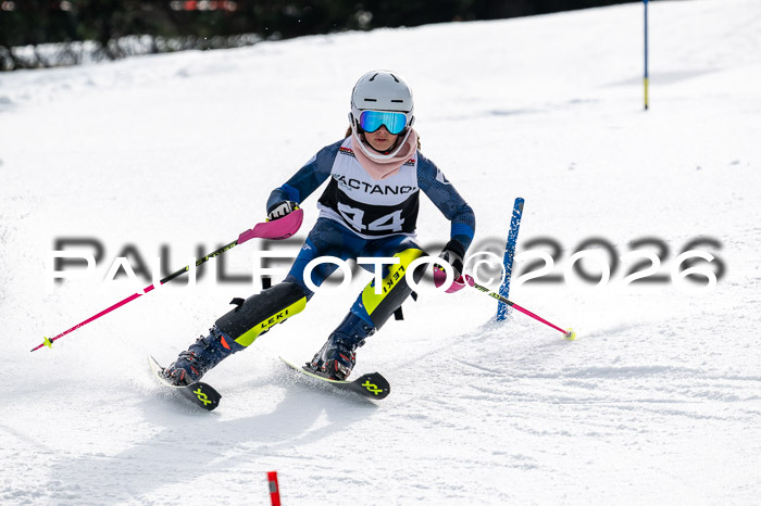 DSV - Actanol Deutscher Schülercup U12 Finale SLX 2026