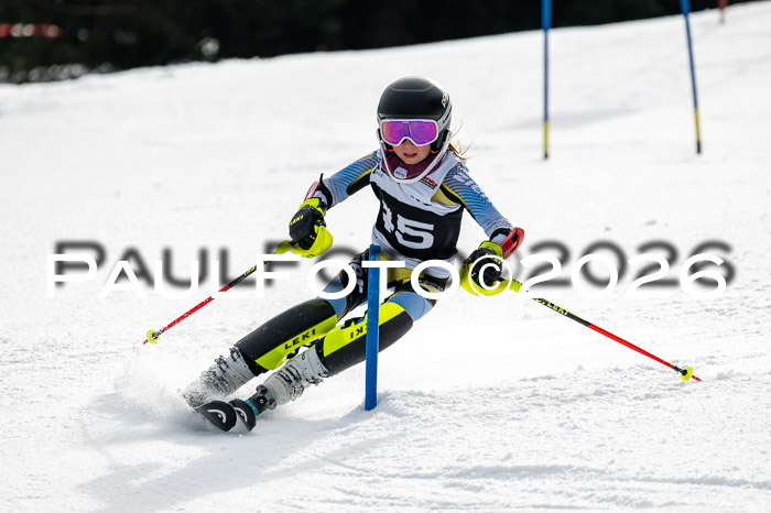 DSV - Actanol Deutscher Schülercup U12 Finale SLX 2026