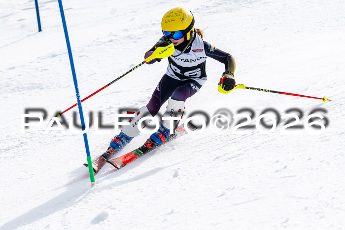DSV - Actanol Deutscher Schülercup U12 Finale SLX 2026