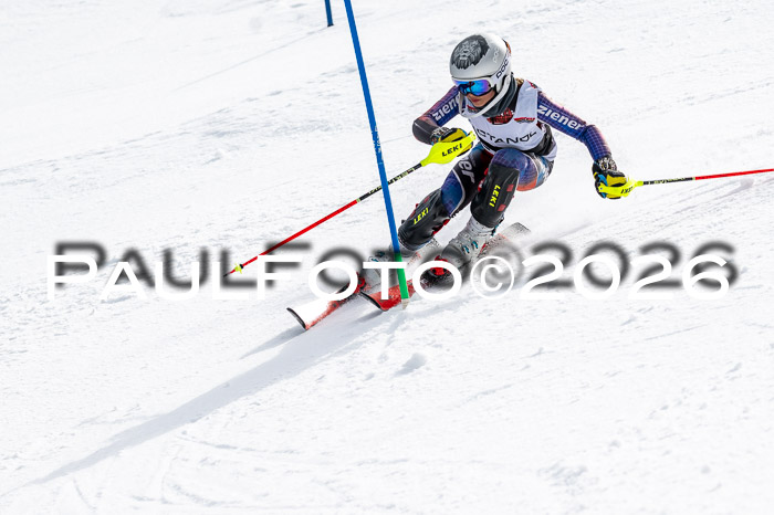 DSV - Actanol Deutscher Schülercup U12 Finale SLX 2026