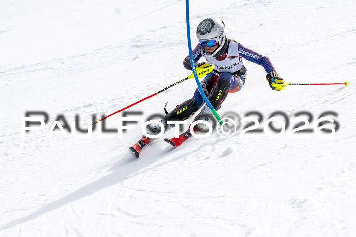 DSV - Actanol Deutscher Schülercup U12 Finale SLX 2026