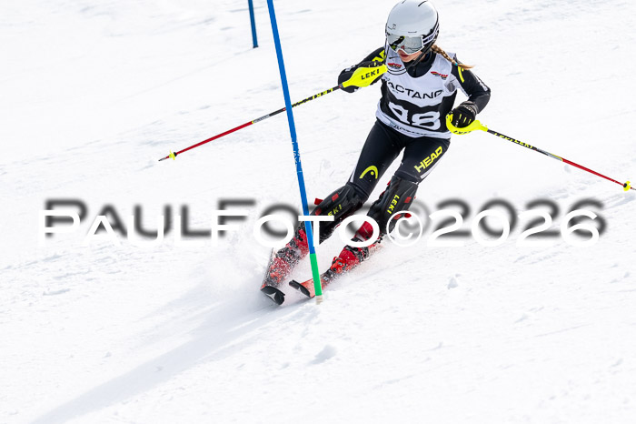 DSV - Actanol Deutscher Schülercup U12 Finale SLX 2026