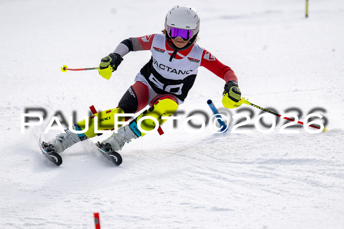 DSV - Actanol Deutscher Schülercup U12 Finale SLX 2026