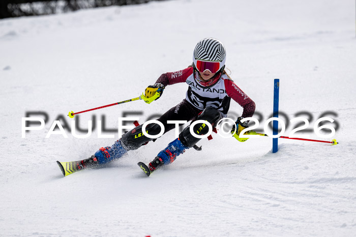 DSV - Actanol Deutscher Schülercup U12 Finale SLX 2026