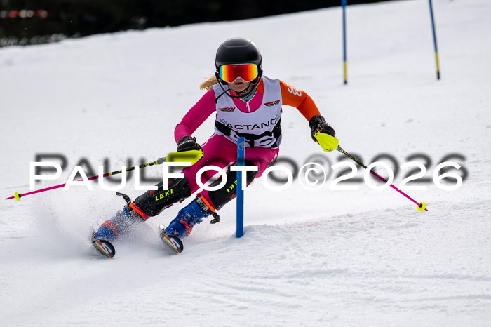 DSV - Actanol Deutscher Schülercup U12 Finale SLX 2026