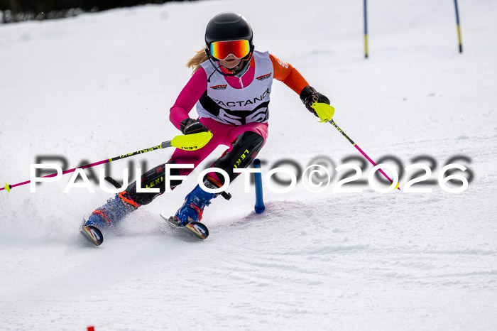 DSV - Actanol Deutscher Schülercup U12 Finale SLX 2026