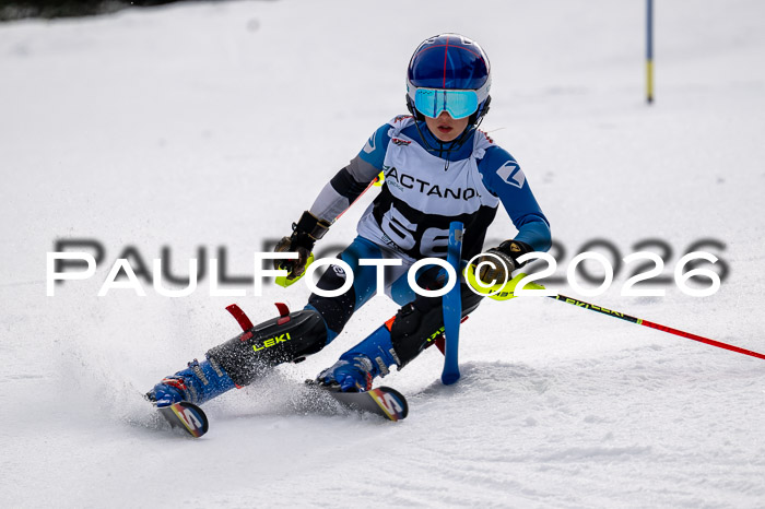 DSV - Actanol Deutscher Schülercup U12 Finale SLX 2026