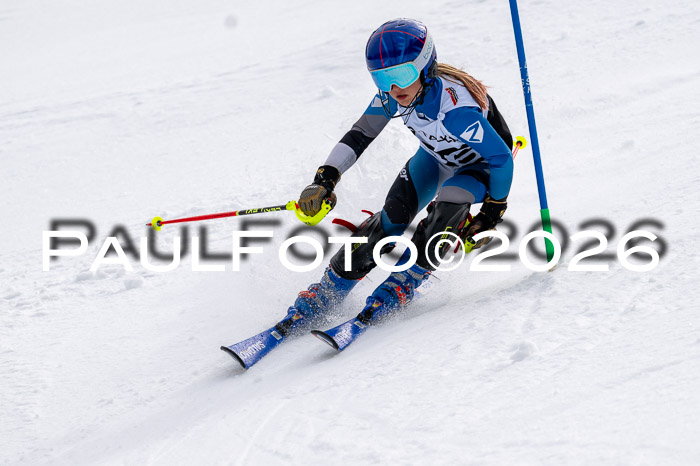 DSV - Actanol Deutscher Schülercup U12 Finale SLX 2026