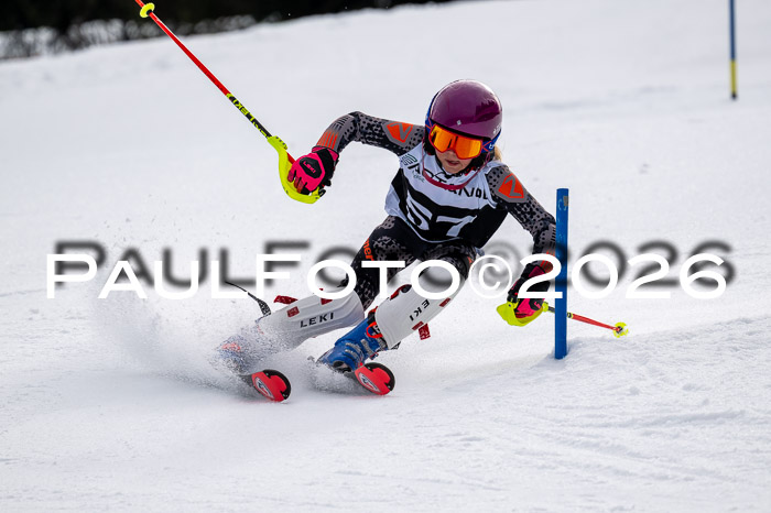DSV - Actanol Deutscher Schülercup U12 Finale SLX 2026