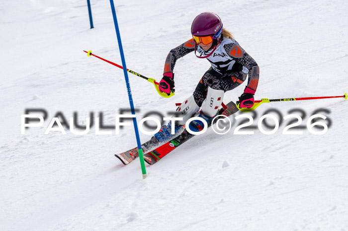 DSV - Actanol Deutscher Schülercup U12 Finale SLX 2026