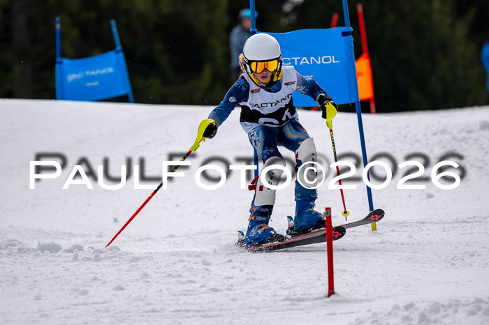 DSV - Actanol Deutscher Schülercup U12 Finale SLX 2026
