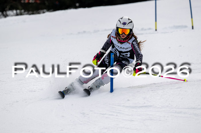 DSV - Actanol Deutscher Schülercup U12 Finale SLX 2026