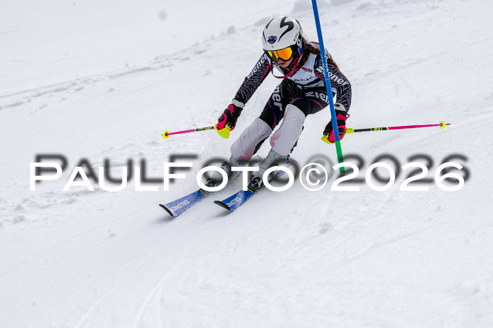 DSV - Actanol Deutscher Schülercup U12 Finale SLX 2026